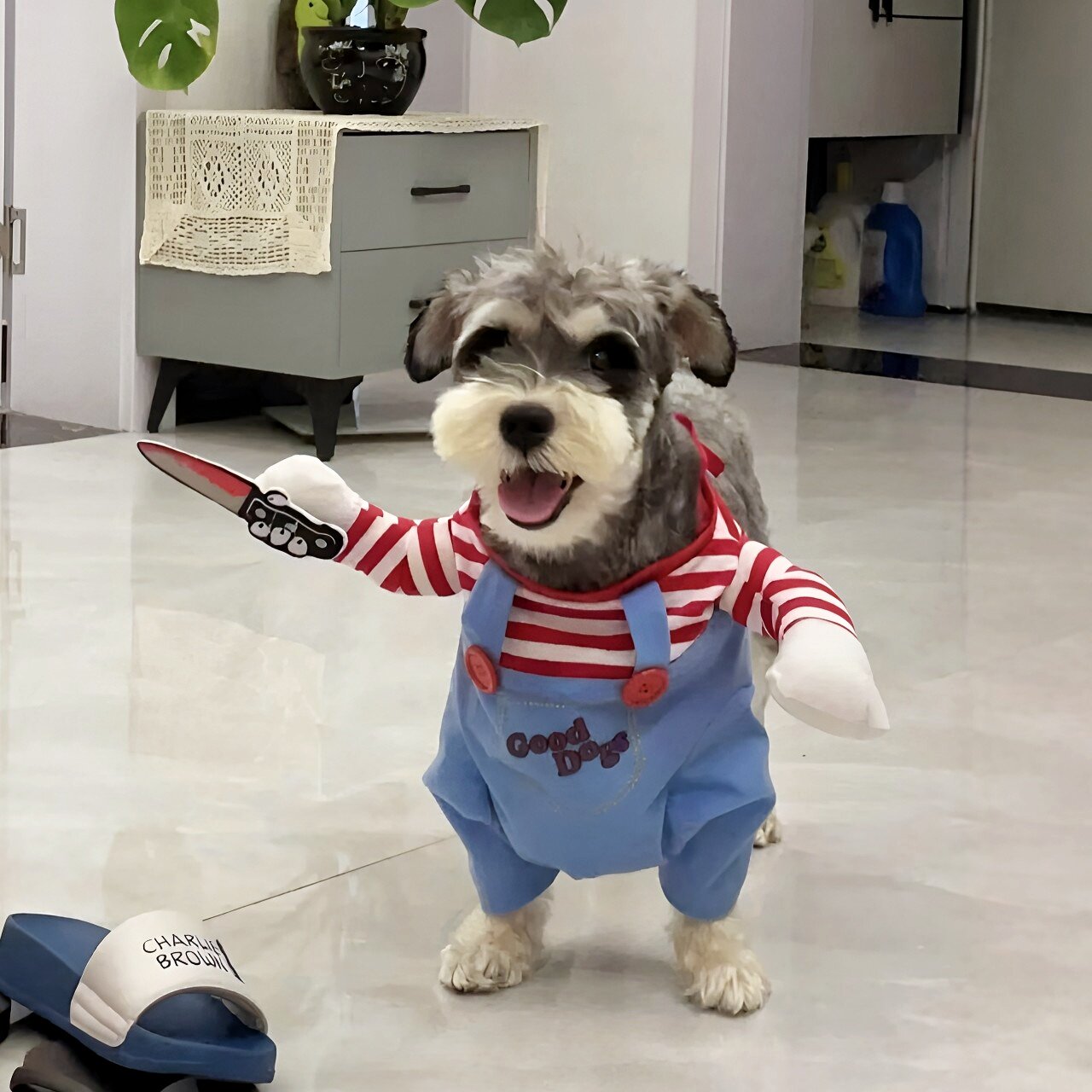 狗狗拿刀搞怪衣服宠物鬼娃变身服装雪纳瑞中小型犬抽象拍照道具