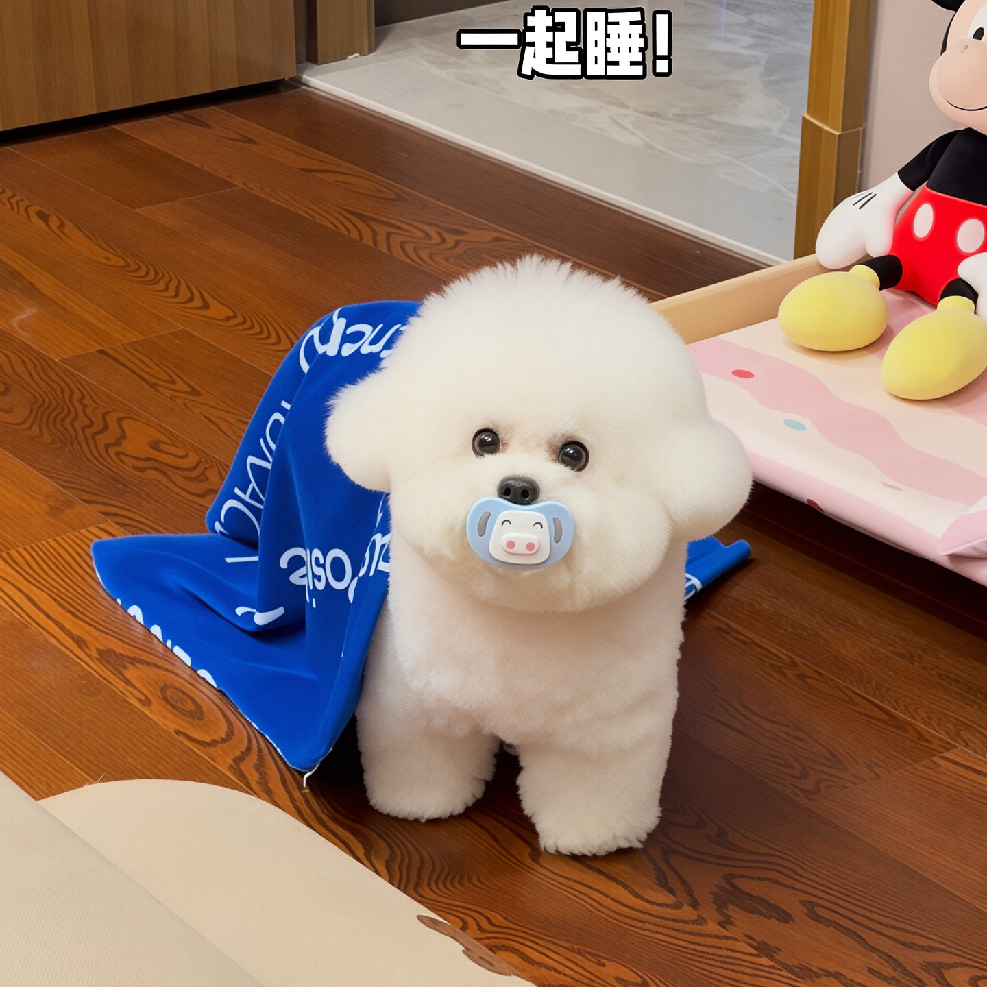 狗狗专用安抚奶嘴断奶磨牙解闷食品级硅胶咬咬胶犬比熊博美饮水器