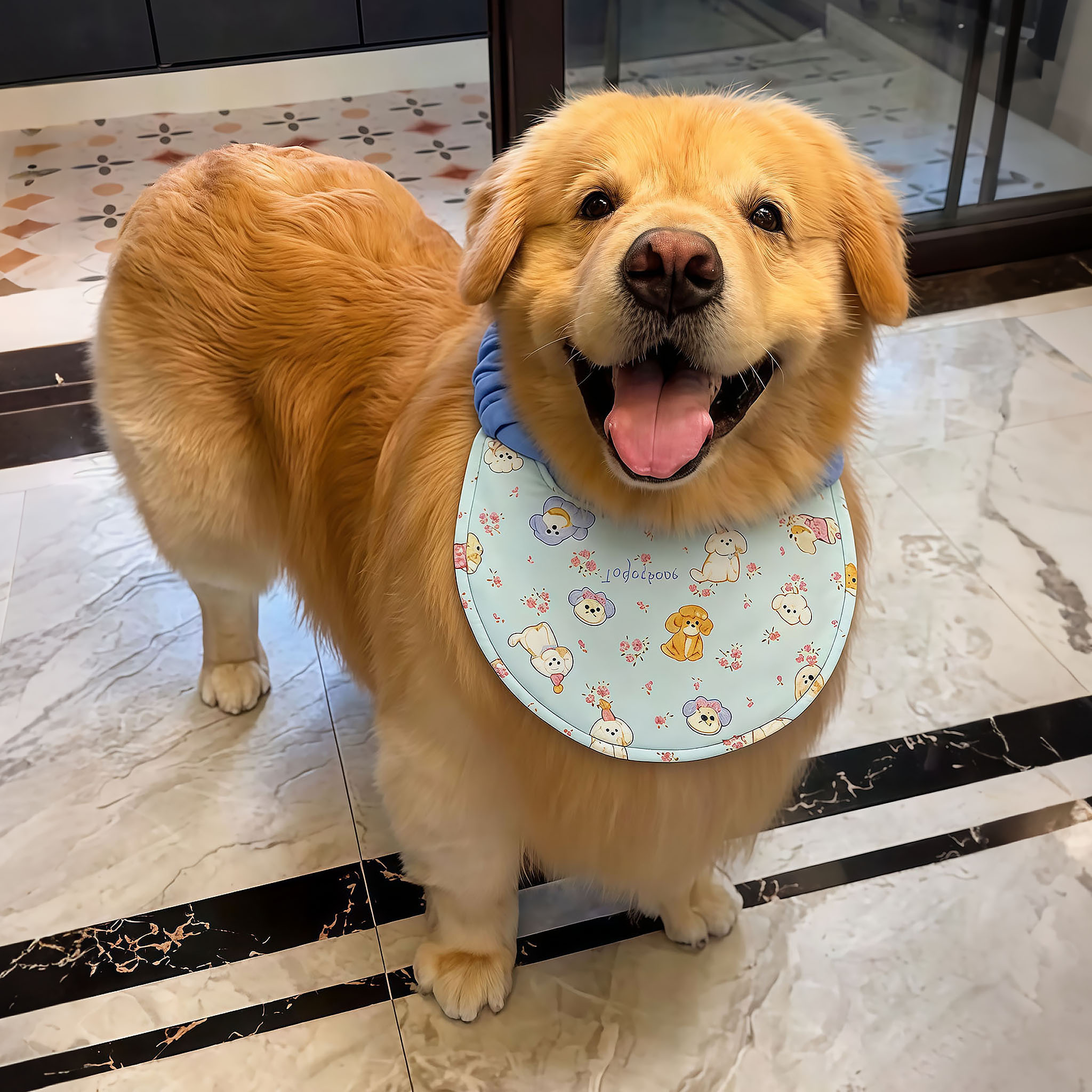 大狗狗口水巾防脏围脖中大型犬金毛萨摩耶吃饭防脏围嘴可调节围兜