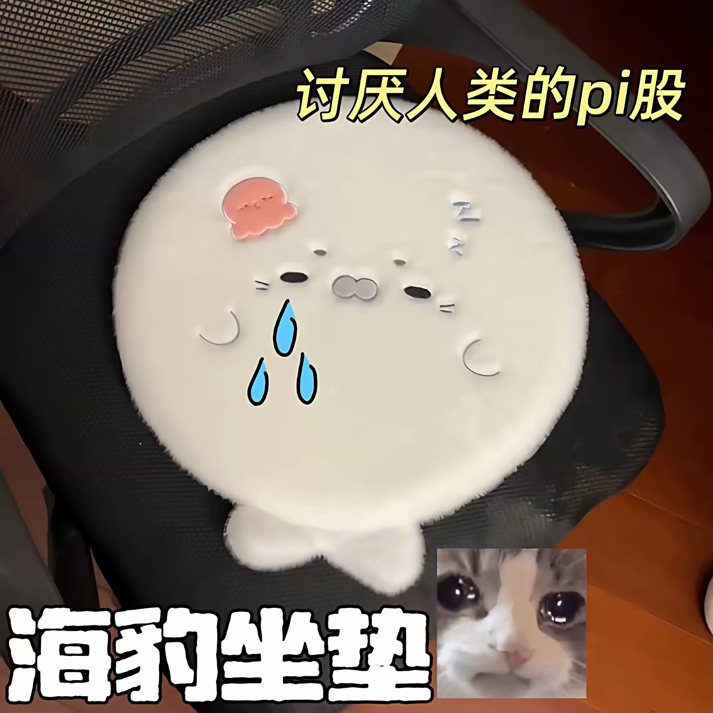海豹坐垫创意卡通圆形办公室加厚屁垫可爱学生上课久坐毛绒椅垫