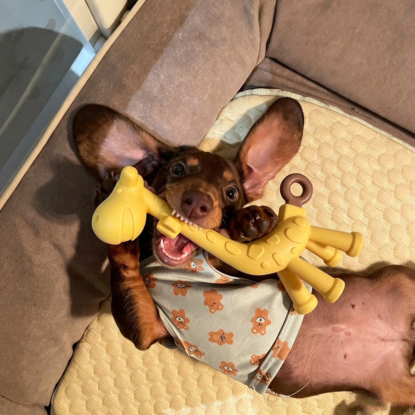 狗狗磨牙棒长颈鹿牙胶幼犬专用磨牙洁齿食品级硅胶耐咬磨自嗨解闷