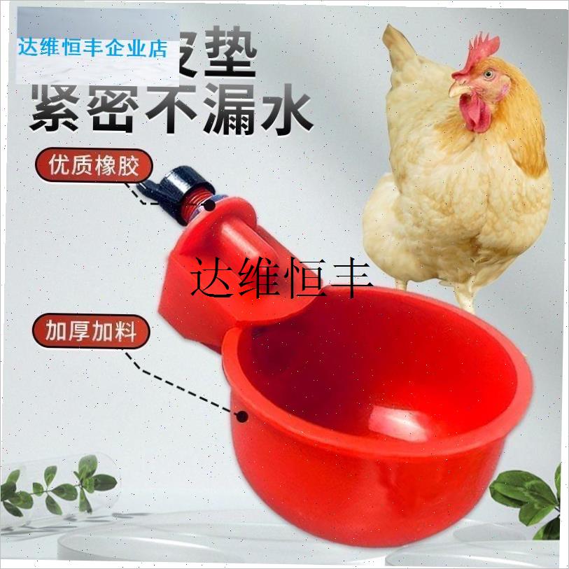 大号家禽饮水器养殖水桶新款喂鸡自动饮水器O鸡鸭鸽子自动饮水碗,