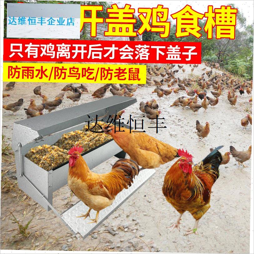 鸡食槽踏板式养鸡用品料槽防雨防鼠G喂鸡神器自动喂鸡自动喂鸡工,