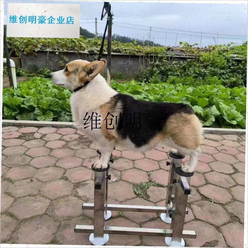 l宠物站桩器狗狗梅花桩站姿训练弓背踏H腰犬舍拍照神器美容美发医
