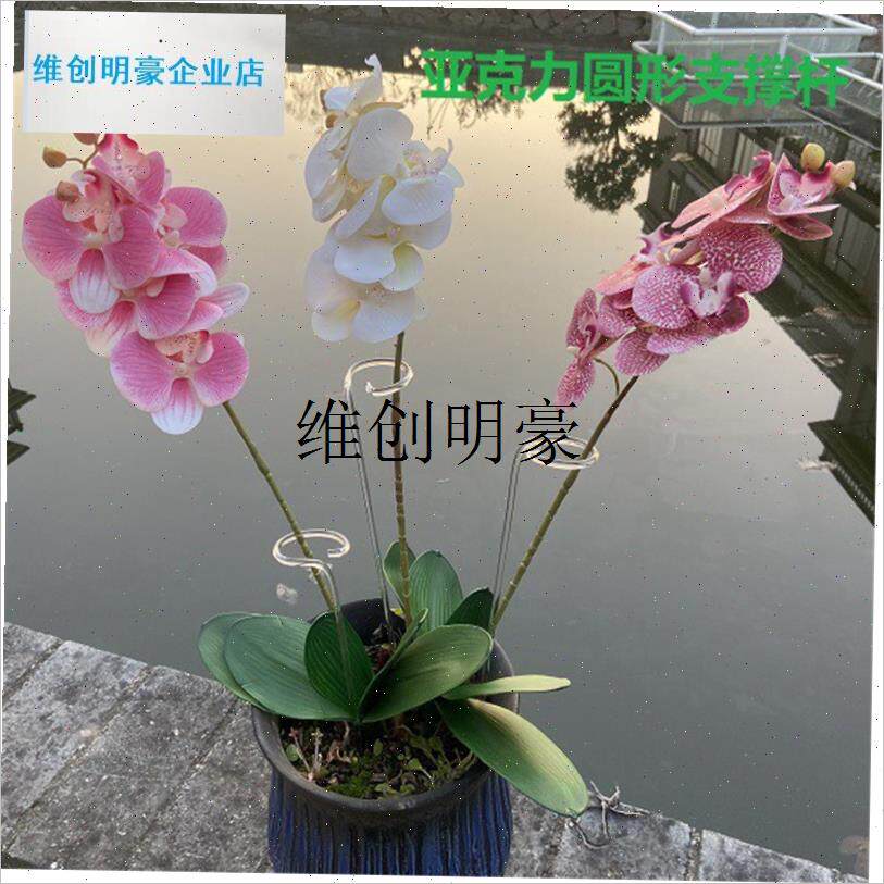 l亚克力植物固定支撑杆 园艺支架 花盆K爬藤Q架蝴蝶兰支撑棒花艺