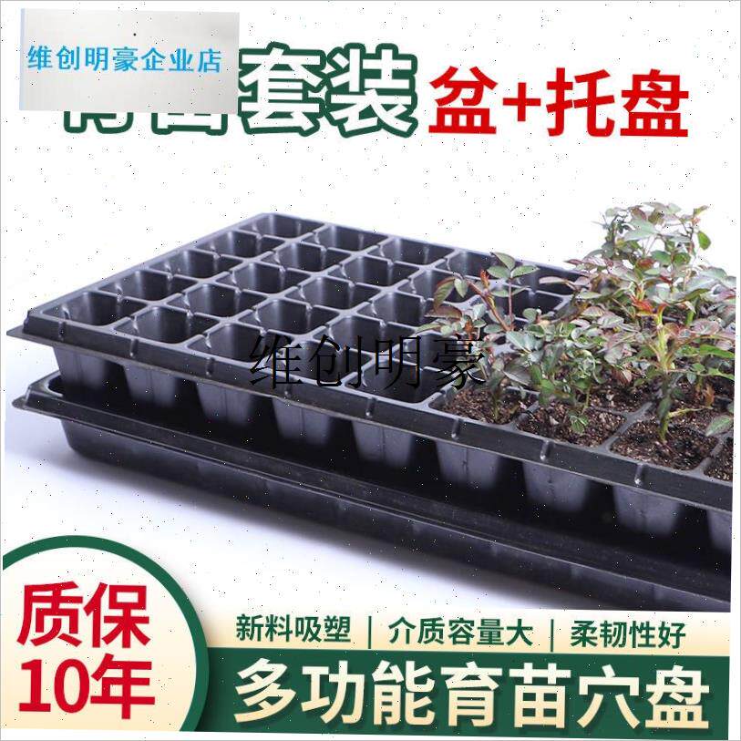 l育苗盘加厚穴f盘秧苗扦插托盘营养杯蔬L菜林木无孔育苗盆辣椒播