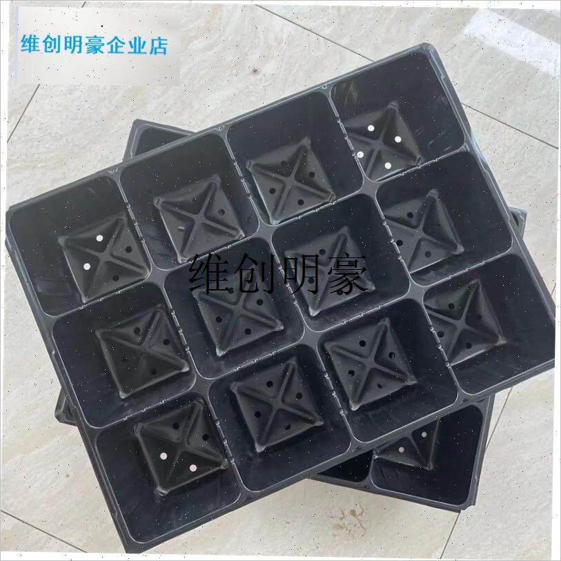 l12孔育b苗盘穴盘草莓苗木花卉园艺扦插容器林木育苗盆