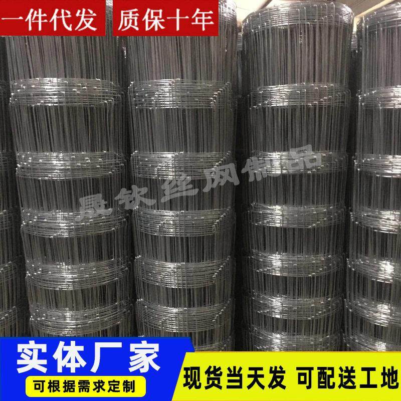 牛栏网果园圈地钢丝围栏网养殖牛羊鸡防护网镀锌铁丝网围栏护栏网