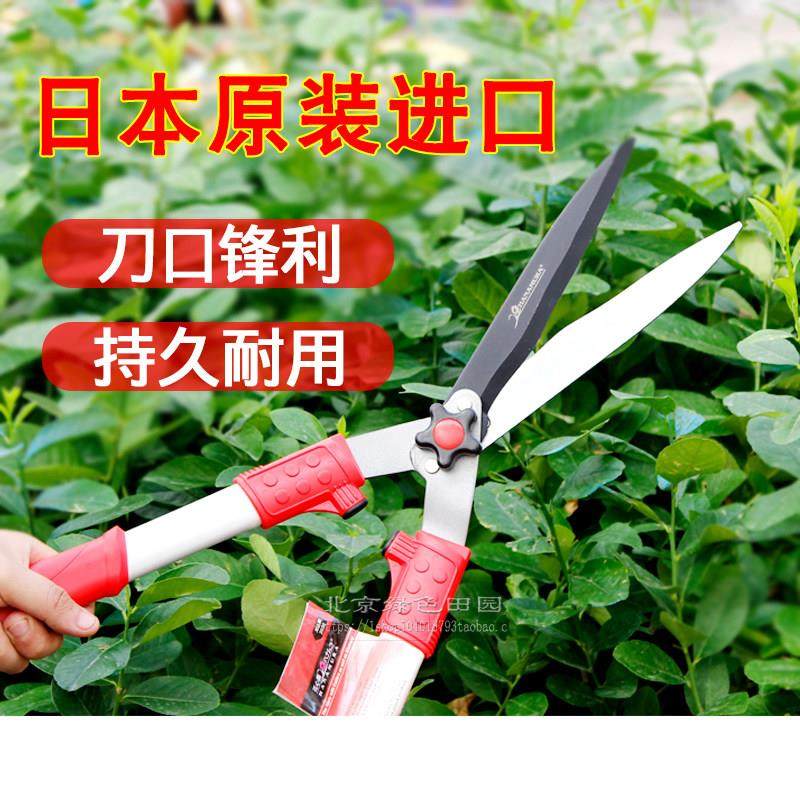 修枝剪修花树枝果树园林草坪绿篱专用工具剪家用庭院大剪刀篱笆剪