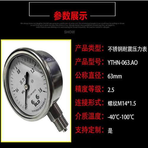北京布莱迪T不钢耐震压力表YH锈YTHN-63N-温63全钢304防腐耐高真