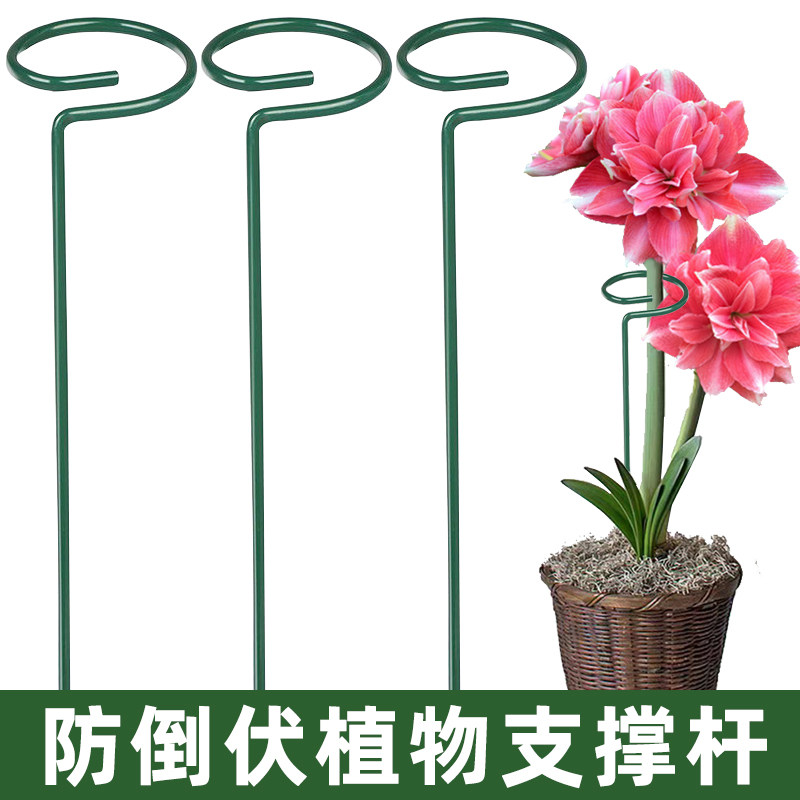 爬藤支撑杆植物防倒伏支架绣球吊兰园艺固定架花卉朱顶红花架护花
