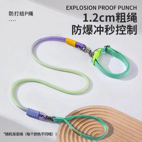 新款项圈牵引二合一P绳加厚加宽不勒手不勒脖舒适牵引绳狗狗项圈