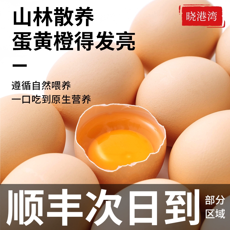 晓港湾正宗绿壳乌鸡蛋顺丰包邮