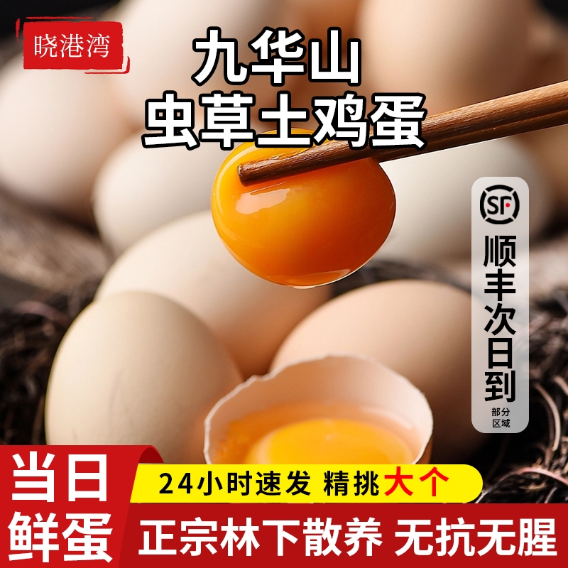 晓港湾九华山山林散养绿壳乌鸡蛋