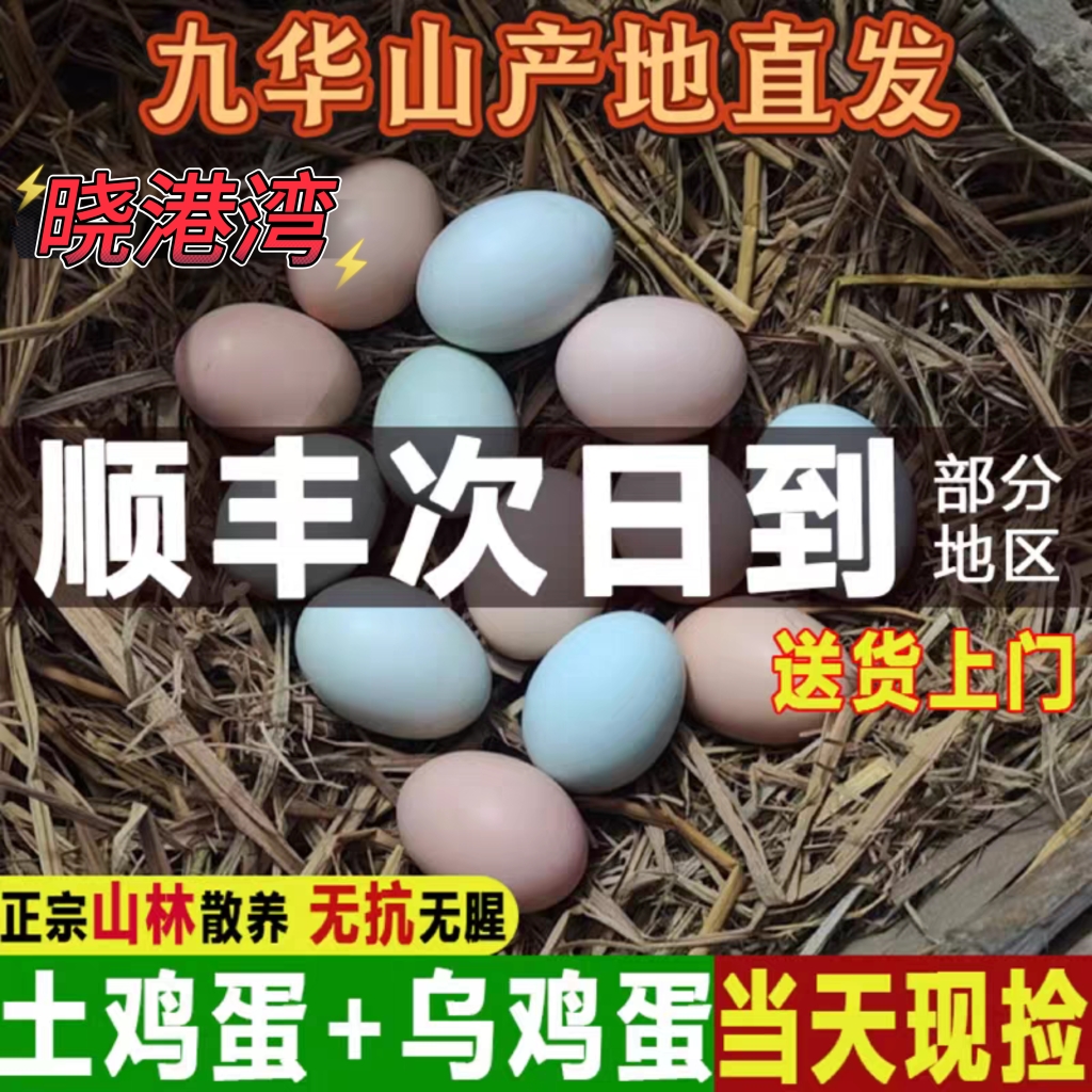 晓港湾九华山农家散养土鸡蛋50枚