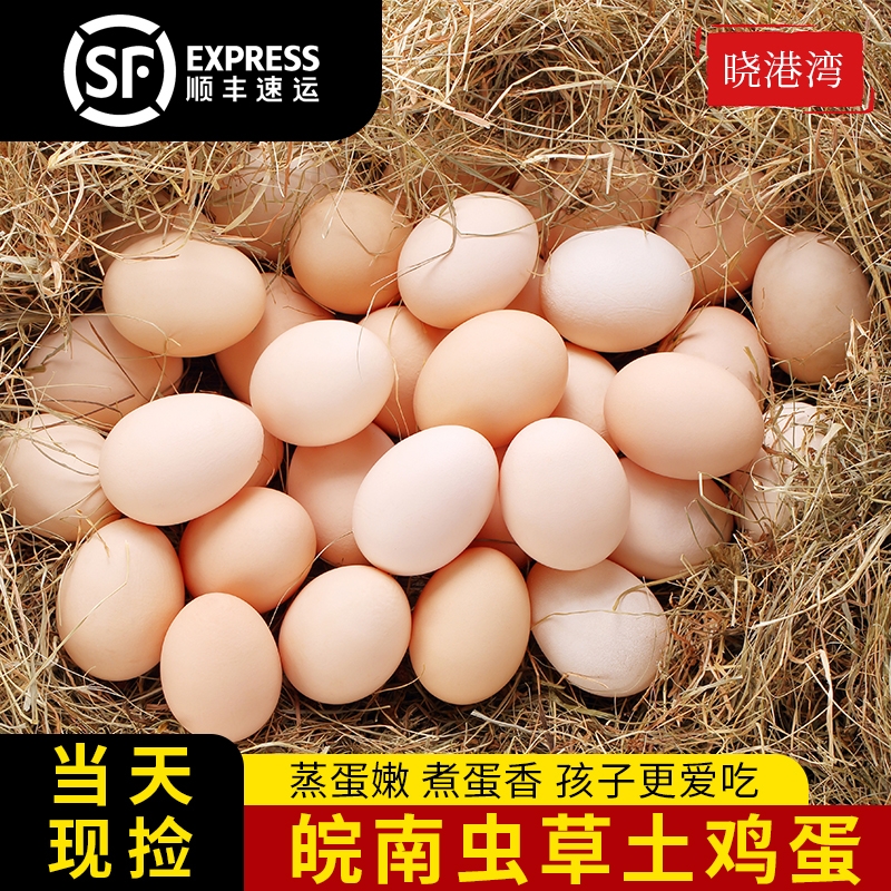晓港湾九华山山林散养土鸡蛋50枚