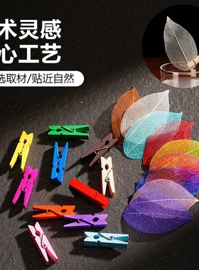 酒吧饮品调酒装饰枫叶竹叶干花叶子鸡尾酒装饰物酒杯签酒签植物标