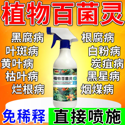 植物百菌灵花卉专用除菌花病康喷剂白粉病炭疽病叶斑病专用营养液