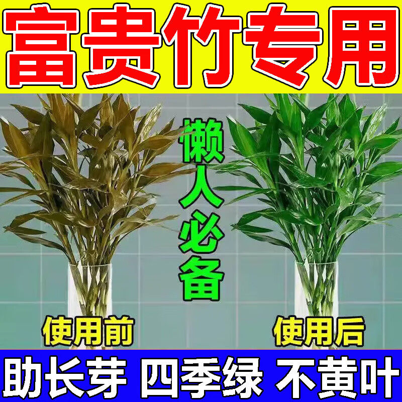 富贵竹营养液水养水培绿植营养液黄叶干尖免稀释杀菌营养肥