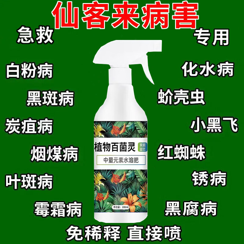 仙客来专用营养液肥料黄叶卷叶干枯倒伏烂根软腐灰霉病花卉