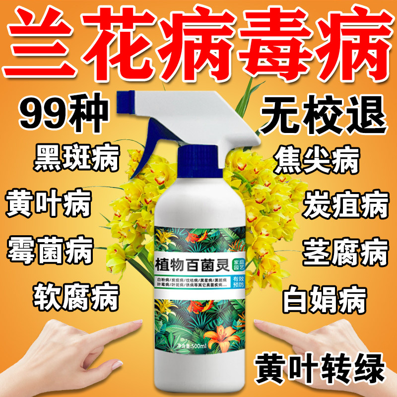 兰花黑斑病专用杀菌剂兰花黄叶焦尖营养液软叶斑腐烂根百菌灵