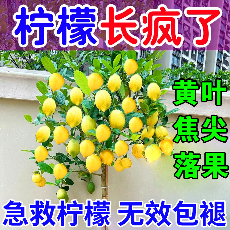 柠檬树专用肥料香水柠檬叶子发黄掉叶不开花不结果复合氮磷钾肥