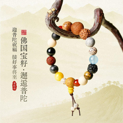 普陀山正品十八籽手串女男转运珠