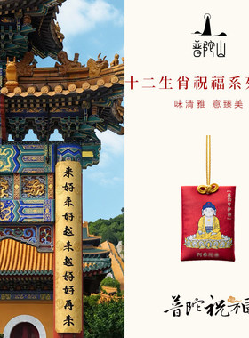 2026新款普陀山本命佛香囊香包