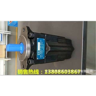 B38 2R02 593 A1厂家厂家 A100R5V08 T7DS