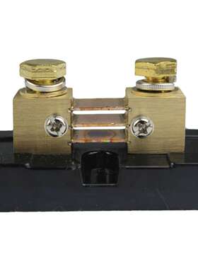 LEEYD 美式 FL-US 300A/50MV 出口型分流器  DC Current Shunt