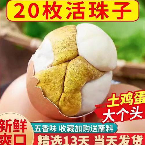 农科院研制土鸡40枚新鲜