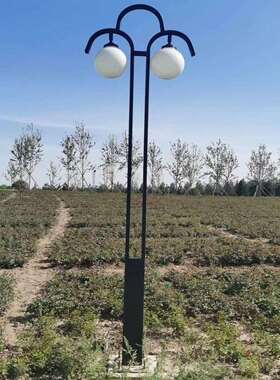 销售田园双头景观灯不锈钢景观灯庭院4米景观灯LED景观灯