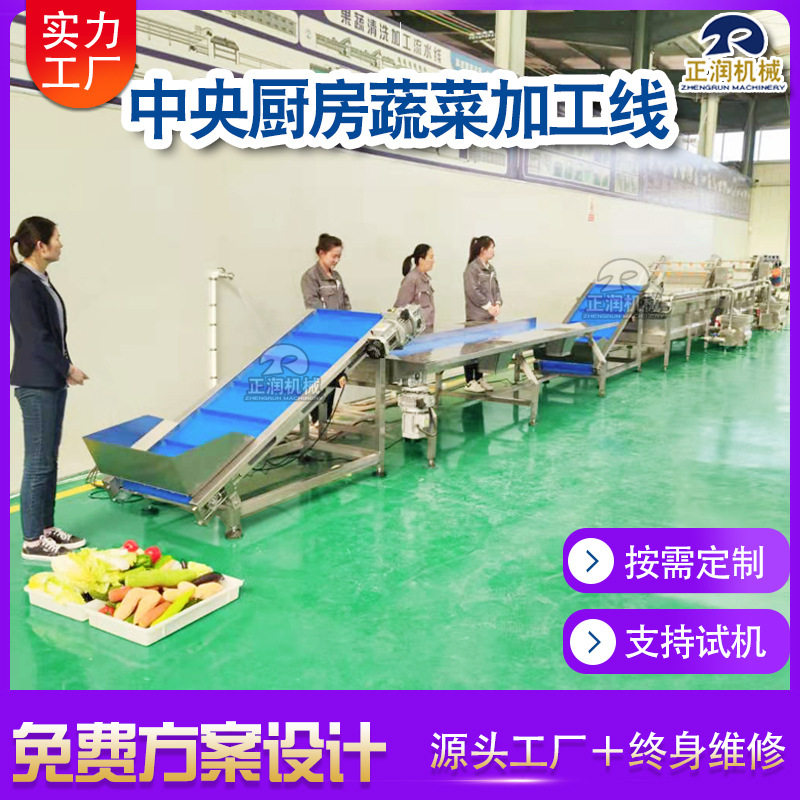 厨房净菜加工设备 全自动果蔬加工流水线 大型蔬菜清洗风干线图片