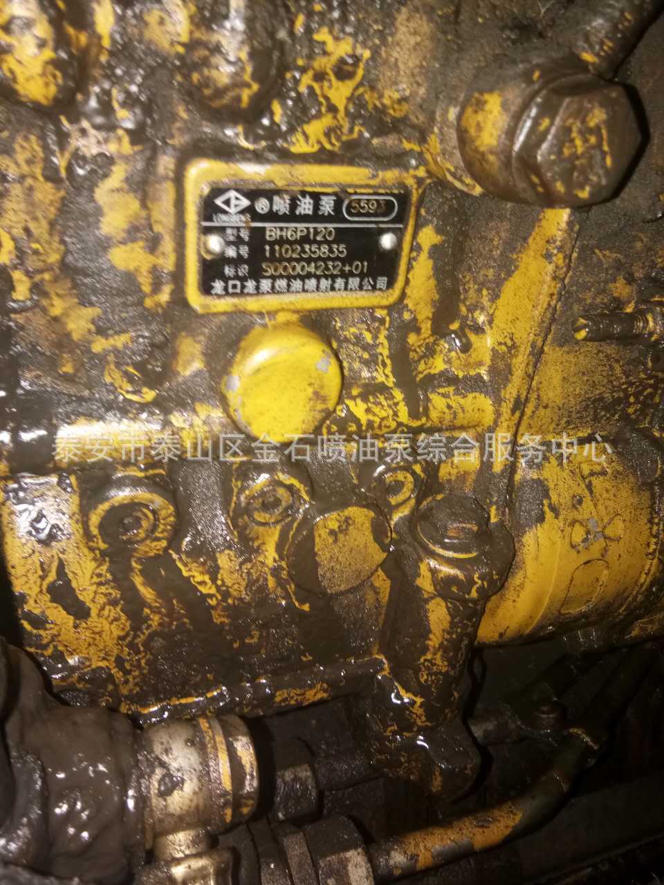 上柴喷油泵总成S00004232+01配套龙泵油泵BP5593现货供应