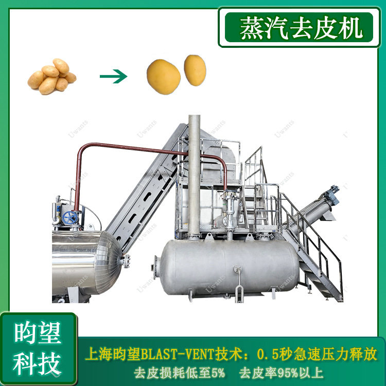 昀望果蔬蒸汽去皮机全自动黄桃脱皮机土豆清洗去皮设备