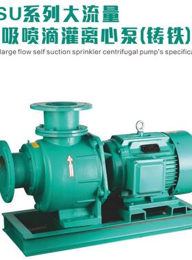 旭农DSU系列5寸6寸大流量自吸喷滴灌铸铁离心泵排洪涝排污电机泵