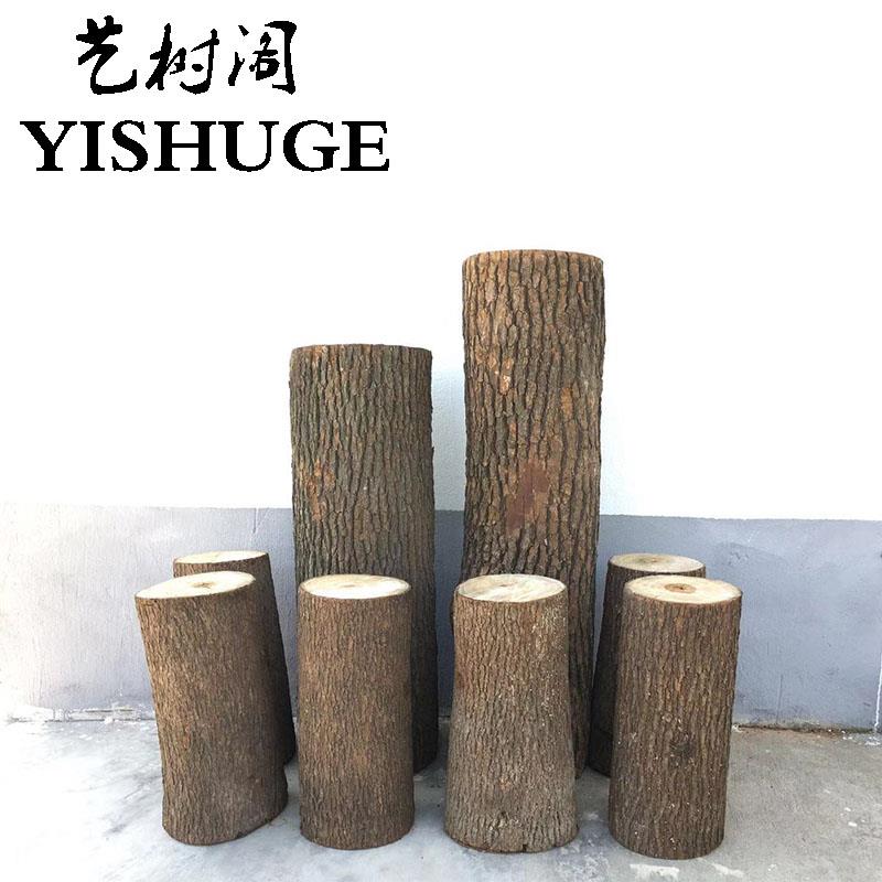 带皮香樟树段庭院客厅装饰原木茶几凳摆件树桩废弃旧树根木桩墩子
