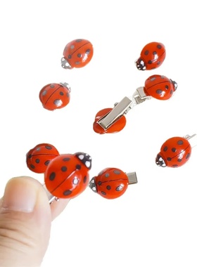 10-piece set of cross-border fashionable cute bee ladybug h