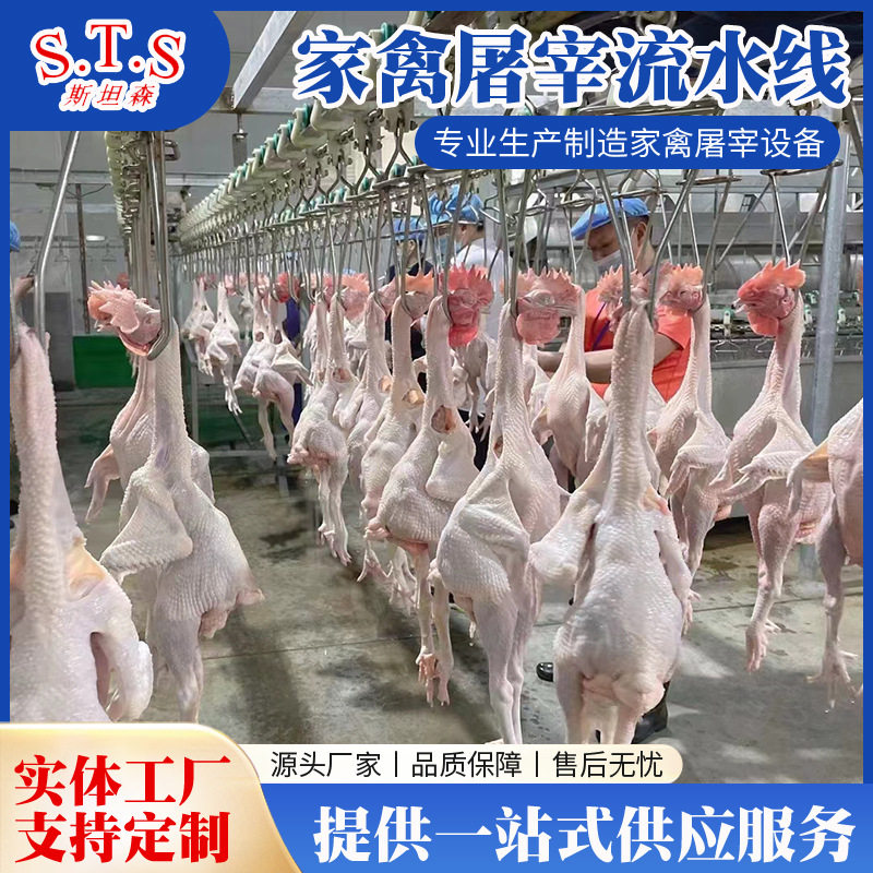 家禽立式全自动宰杀脱毛流水线