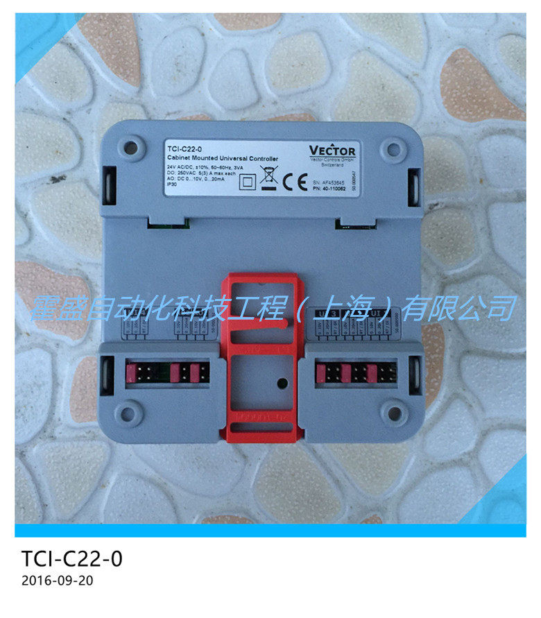 VECTOR伟拓TCI-C22-0柜装式通用型PID控制器冷热自动切换温控器