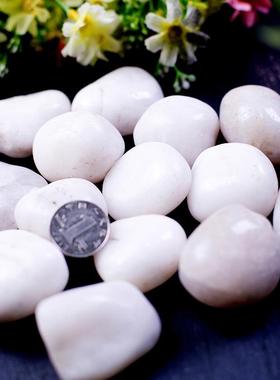 白色抛光鹅卵石头装饰园林家装工程景观盆栽雨花石子