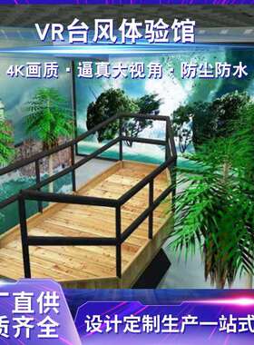 广东乐阳VR台风体验馆VR游乐自然灾害科普体验设备自然灾害模拟