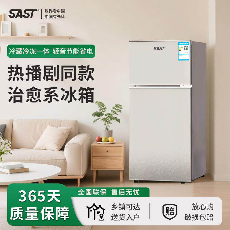SAST迷你小冰箱宿舍出租房小型母乳租房单人用冷冻冷藏保鲜箱两用