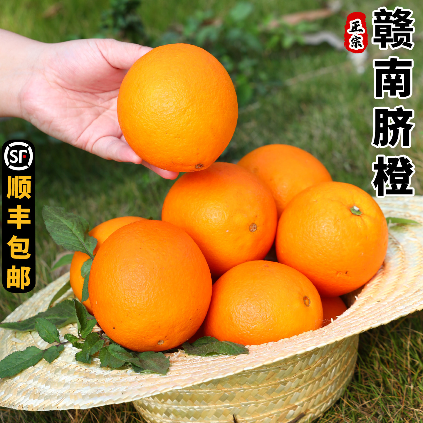 正宗赣南脐橙10斤装大果甜橙子江西赣州产地直发新鲜水果整箱包邮,水产肉类/新鲜蔬果/熟食,橙,淘宝优惠券,粉丝福利购,淘宝优惠卷