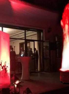 旺火晚会LED电子酒吧灯仿火苗火焰灯篝火仿真灯大号火把灯火盆