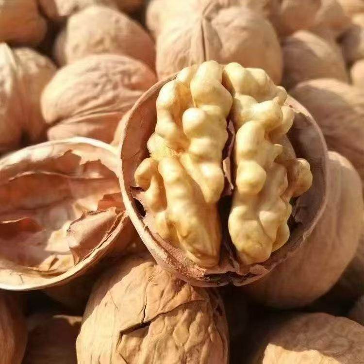 新鲜纸皮核桃薄皮大颗粒天然坚果零食,零食/坚果/特产,纸皮/薄皮核桃,淘宝优惠券,粉丝福利购,淘宝优惠卷