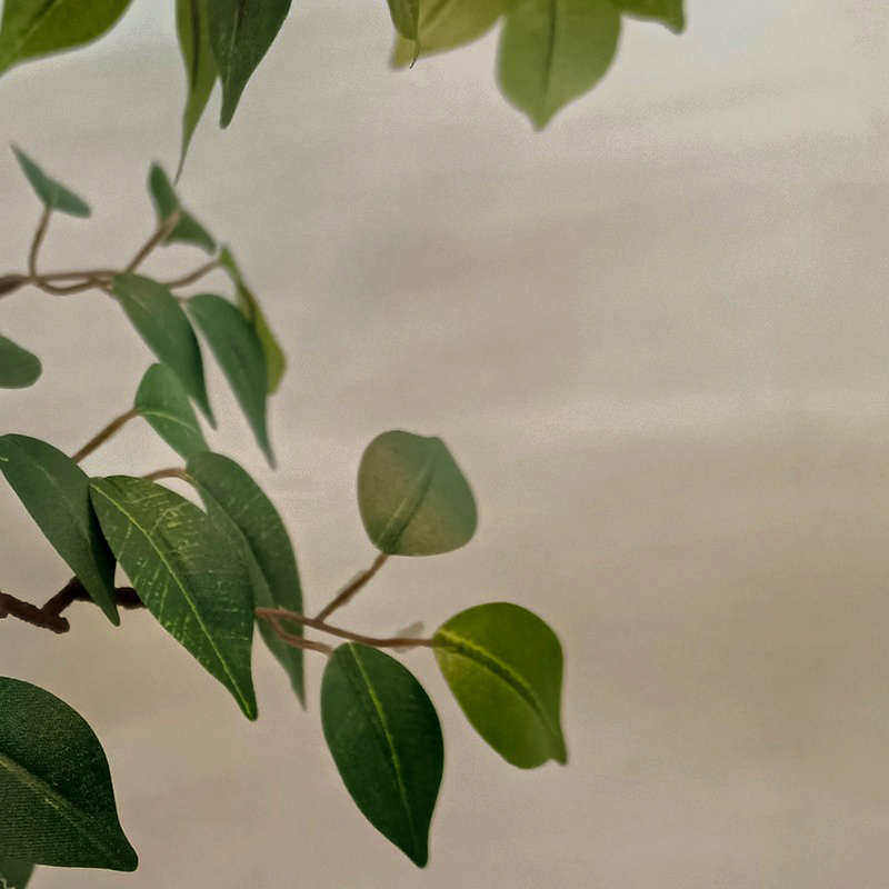 仿真绿植假树榕树落地盆栽摆件室内客厅装饰假植物盆景仿生植物,家居饰品,仿真植物盆景,淘宝优惠券,粉丝福利购,淘宝优惠卷