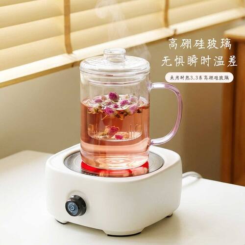 玻璃杯家用茶水分离泡茶杯子办公室喝水杯带把手带盖花茶杯女茶具