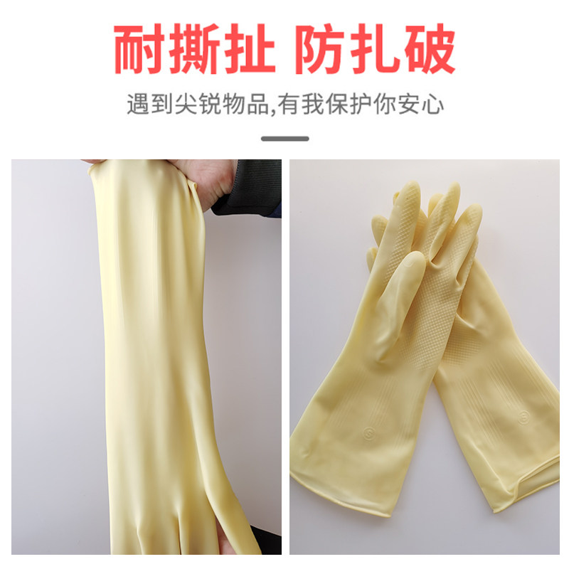 粤龙A3洗衣服碗女加厚牛筋乳胶橡胶塑胶家务防水胶皮劳保耐磨手套