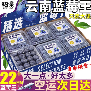 【现货空运】云南蓝莓鲜果当季新鲜水果12盒现摘怡颗孕妇整箱包邮